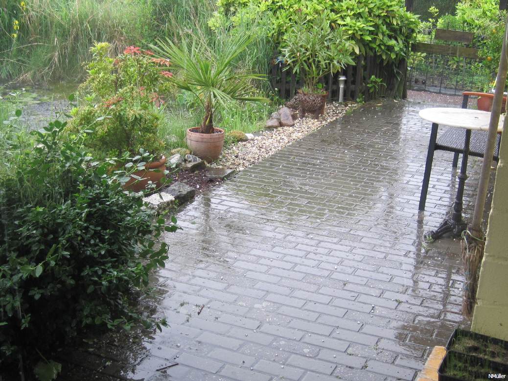 hundewetter juni 2016