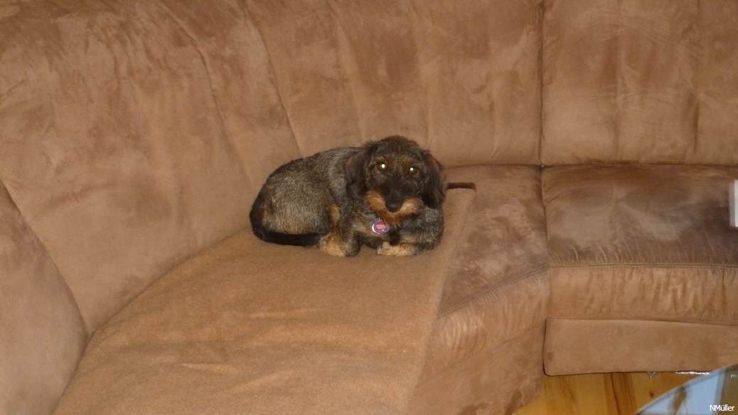 mein sofa